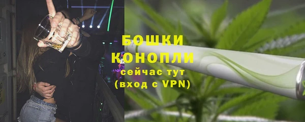 первитин Осинники