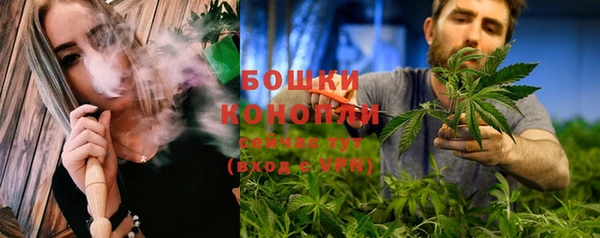 первитин Осинники